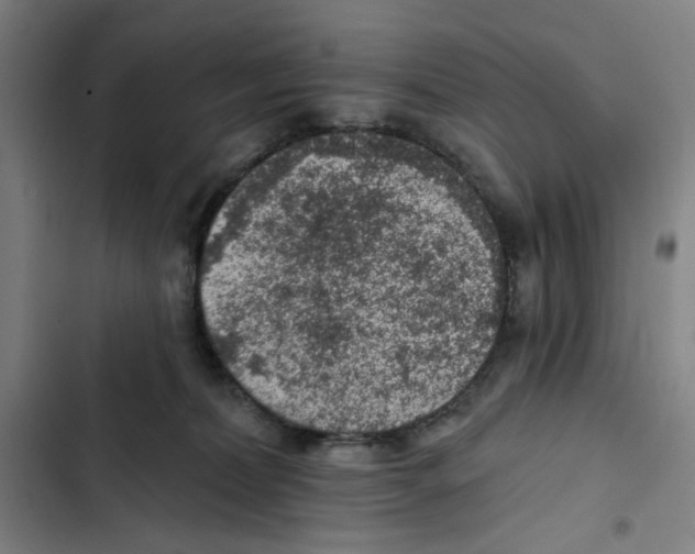 X0000102350228200808291209