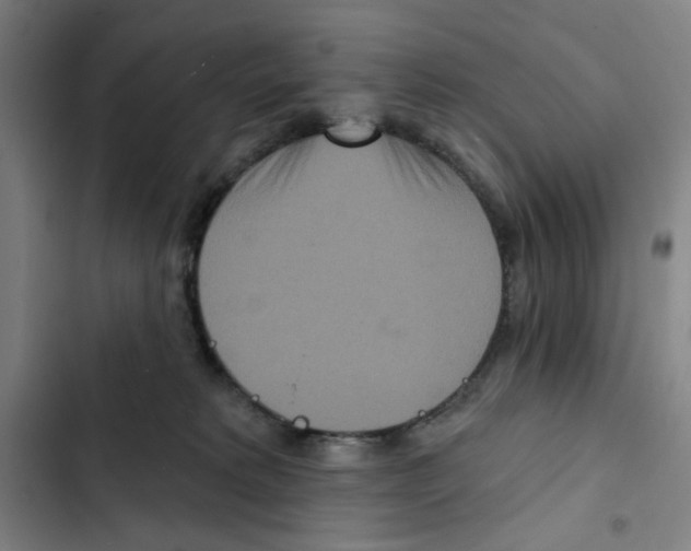 X0000102350229200808291209