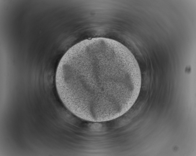 X0000102350230200808291209
