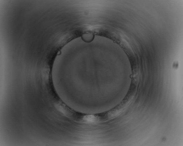 X0000102350231200808291209