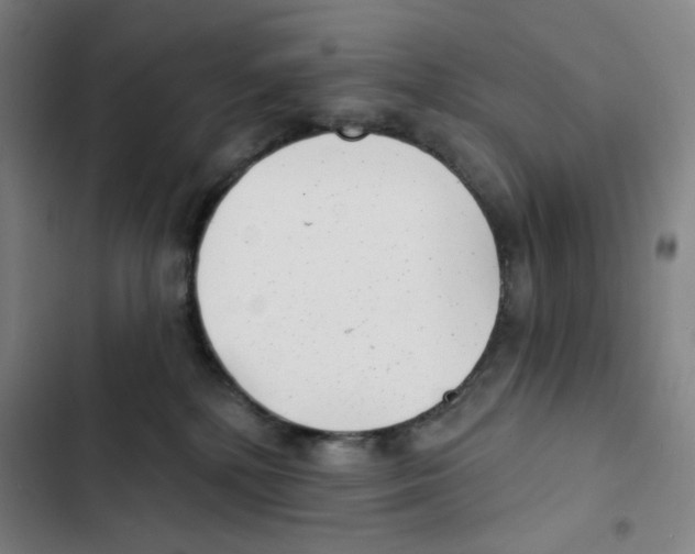 X0000102350232200808291209