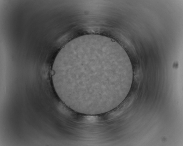 X0000102350233200808291209