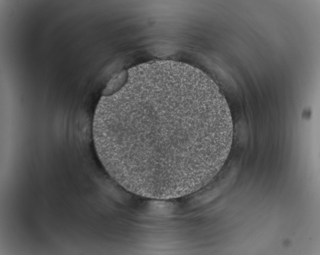 X0000102350234200808291209