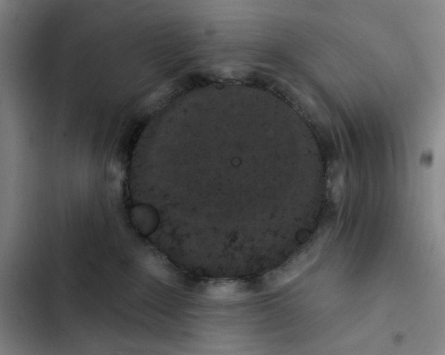 X0000102350235200808291209