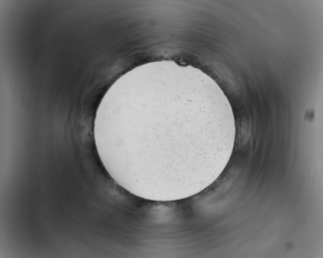 X0000102350236200808291209