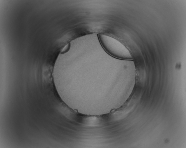 X0000102350237200808291208