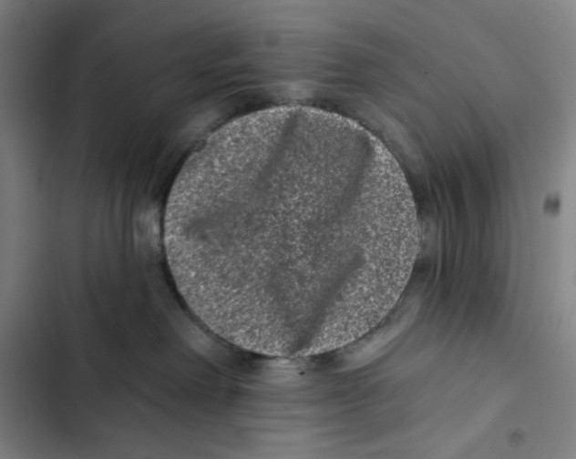 X0000102350238200808291208