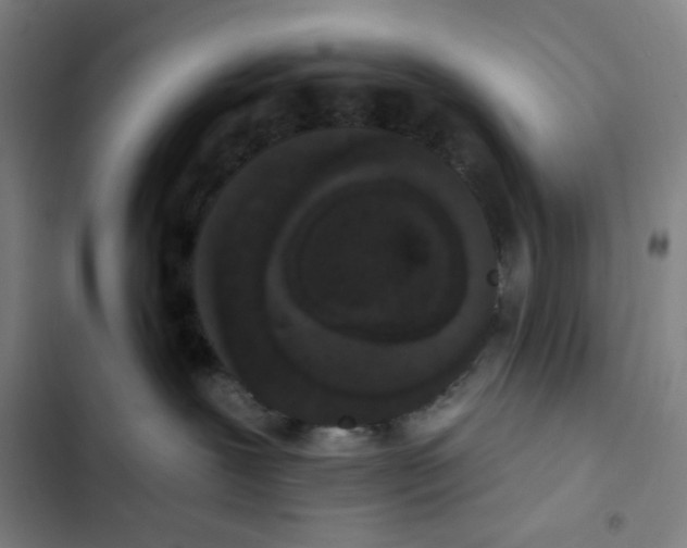 X0000102350239200808291208