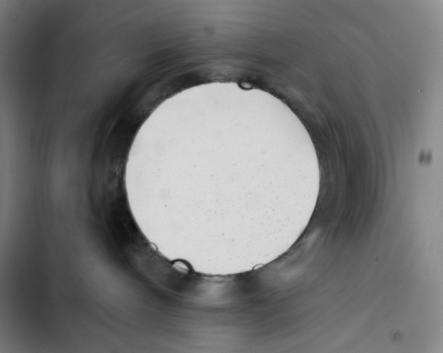 X0000102350240200808291208