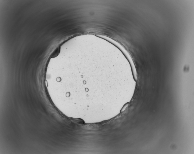 X0000102350241200808291208