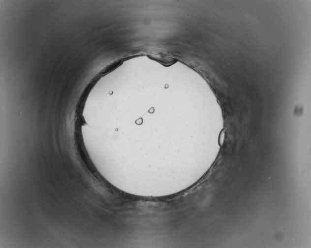 X0000102350242200808291208