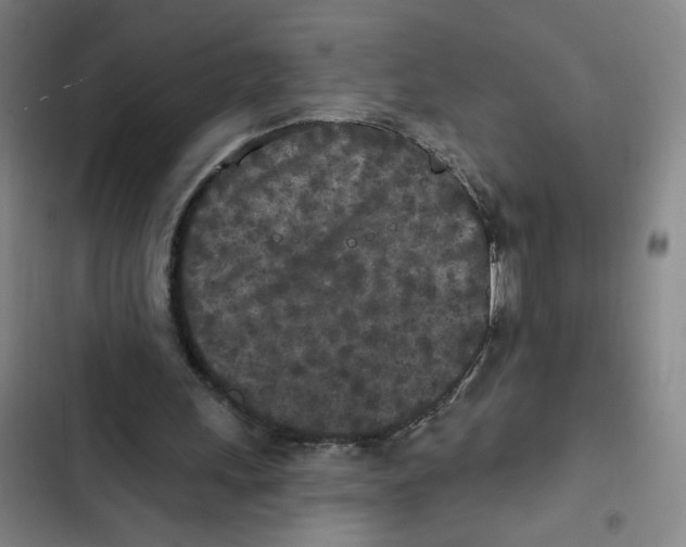 X0000102350243200808291208