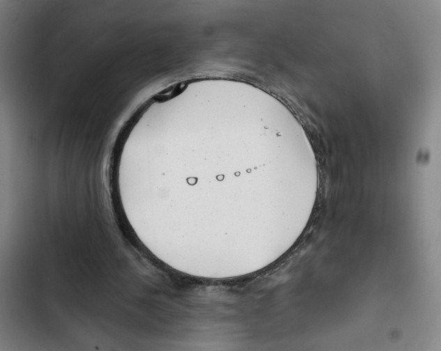 X0000102350244200808291208