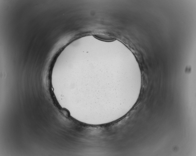 X0000102350245200808291208