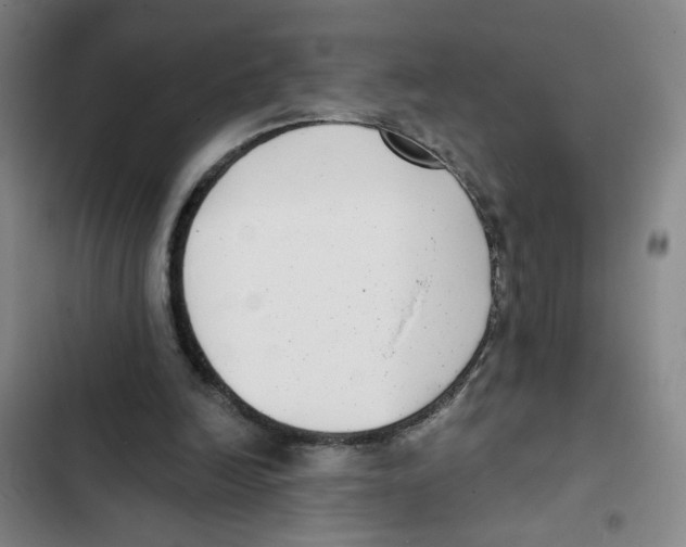 X0000102350246200808291208