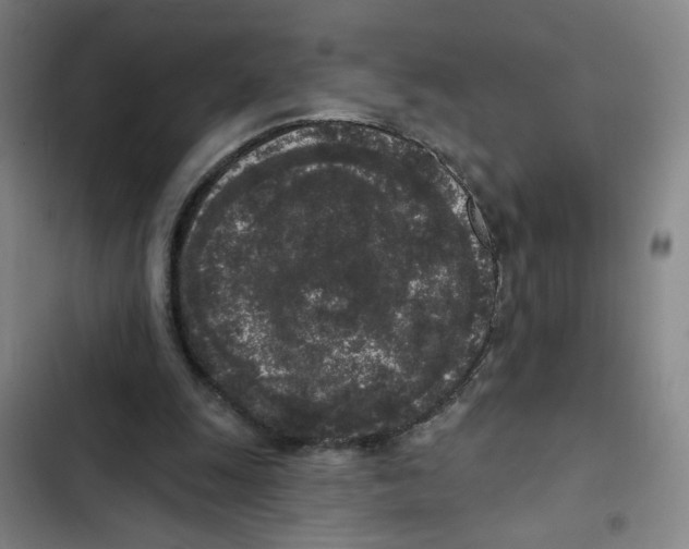 X0000102350247200808291208