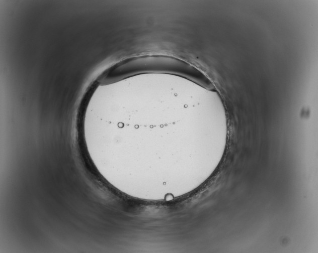 X0000102350248200808291208