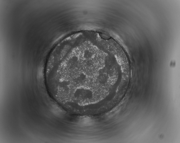 X0000102350249200808291208