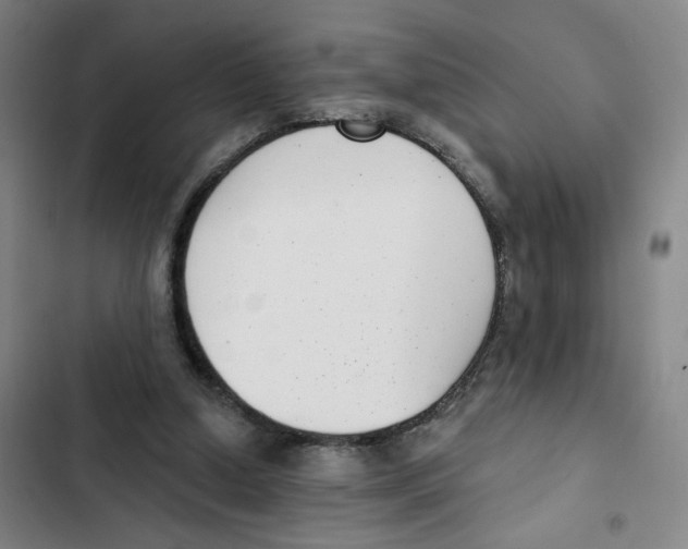 X0000102350250200808291208