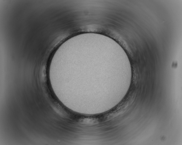 X0000102350251200808291208