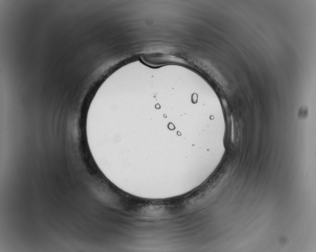 X0000102350252200808291208