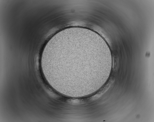 X0000102350253200808291208