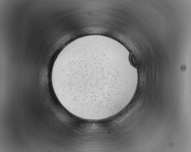 X0000102350254200808291208