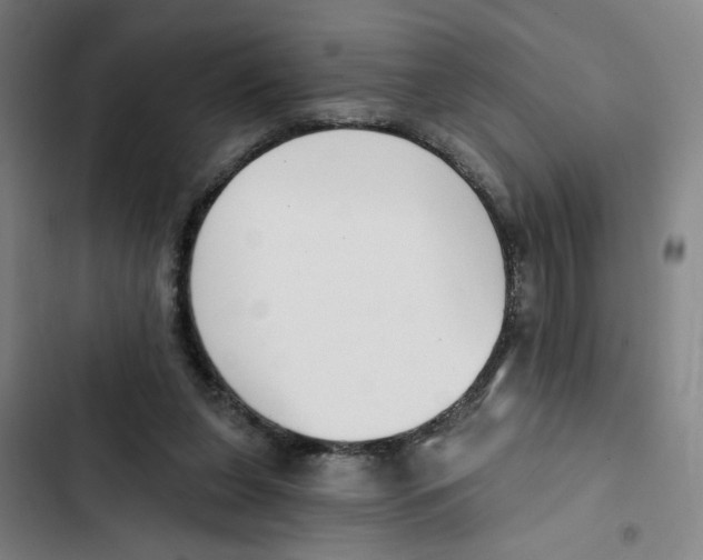 X0000102350255200808291208