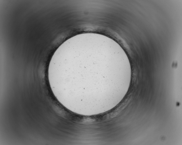 X0000102350257200808291208