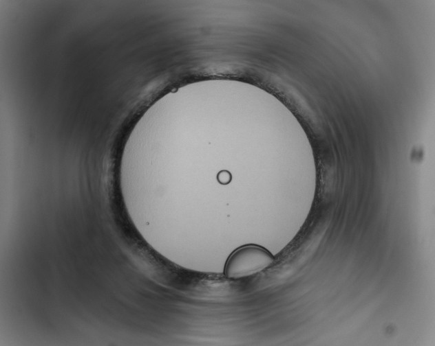 X0000102350260200808291208