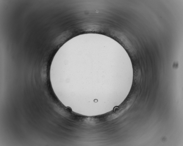 X0000102350261200808291208