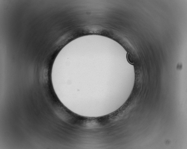 X0000102350262200808291208
