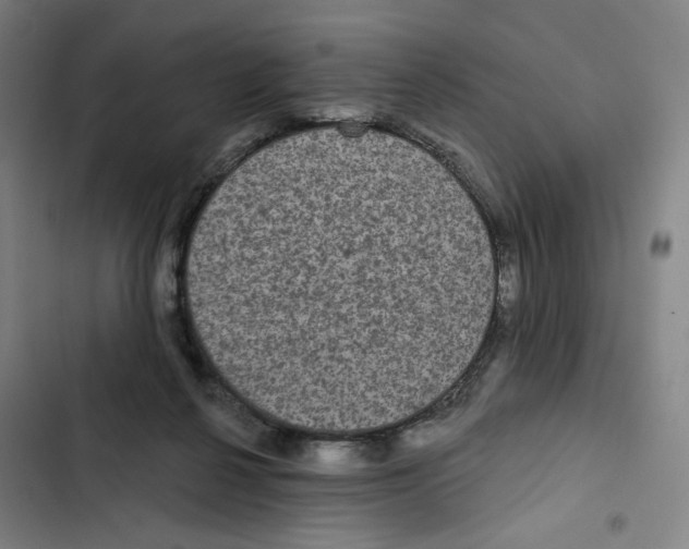 X0000102350264200808291208