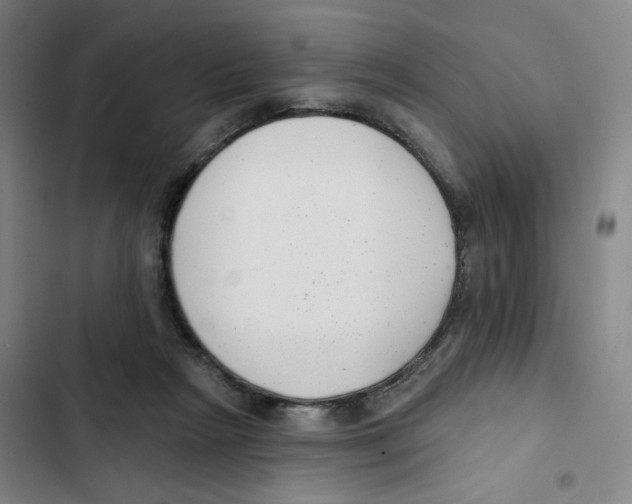 X0000102350265200808291208