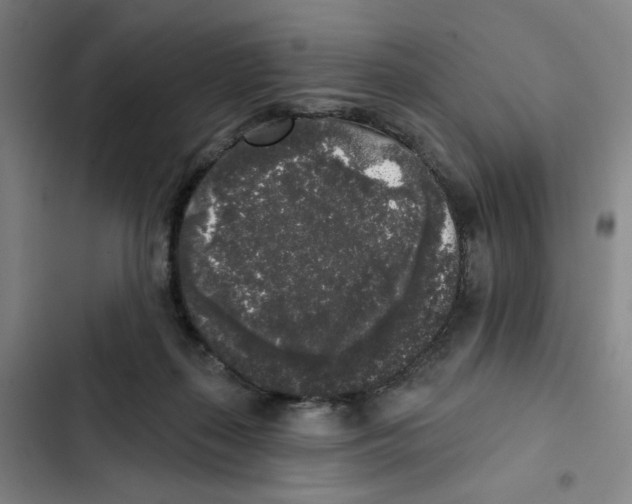 X0000102350267200808291208