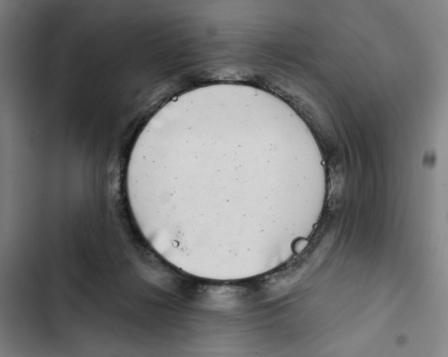 X0000102350268200808291208