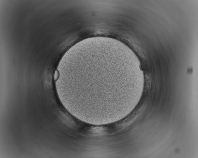 X0000102350269200808291208
