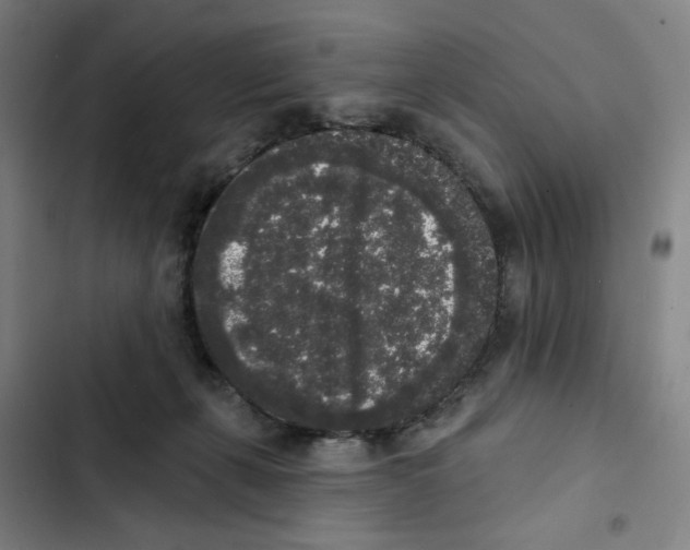 X0000102350271200808291208