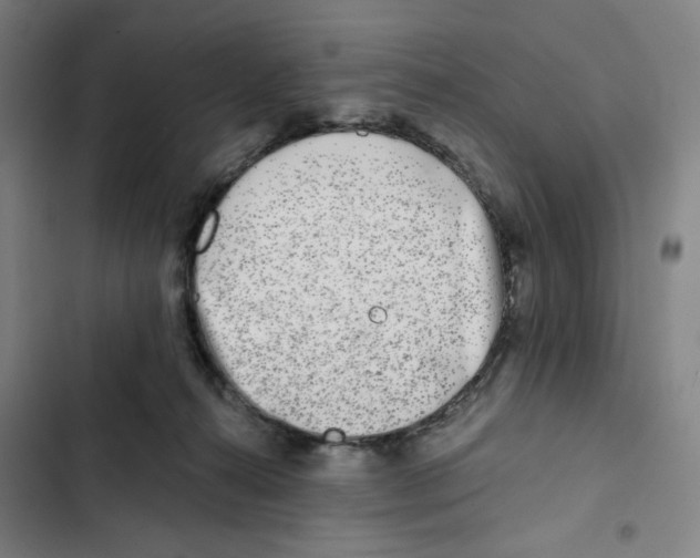 X0000102350272200808291208