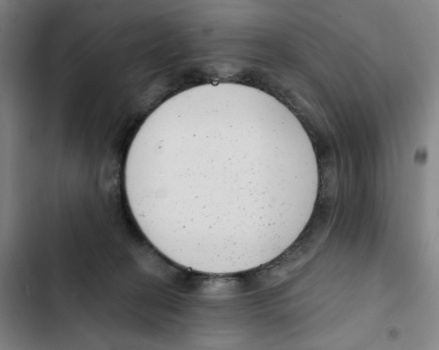 X0000102350274200808291208
