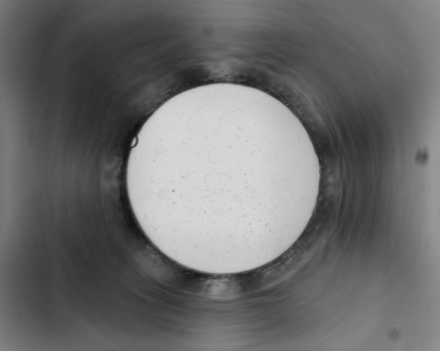 X0000102350275200808291208