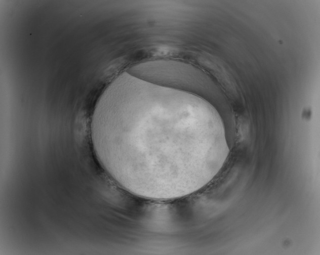 X0000102350276200808291208