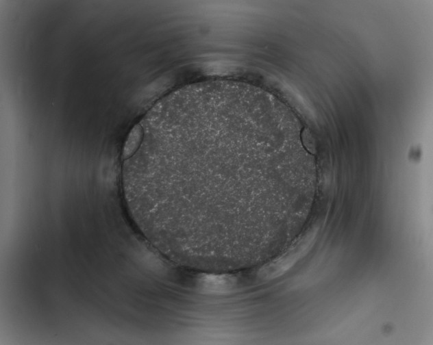 X0000102350277200808291208
