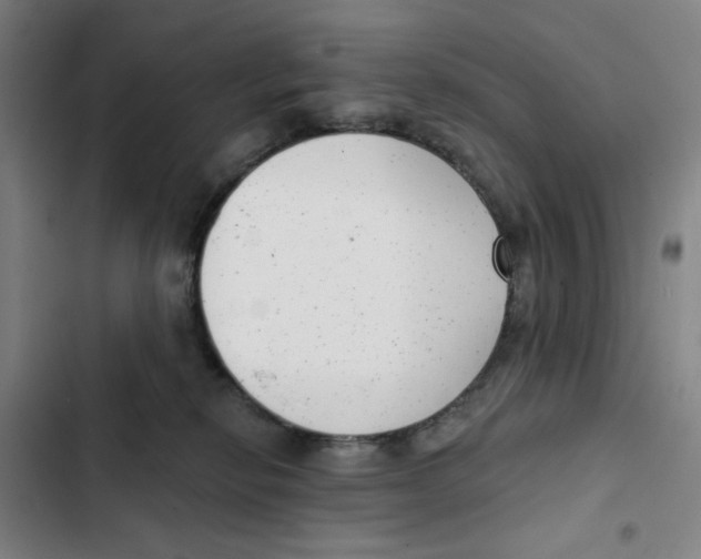 X0000102350278200808291208