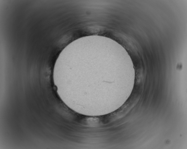 X0000102350279200808291208