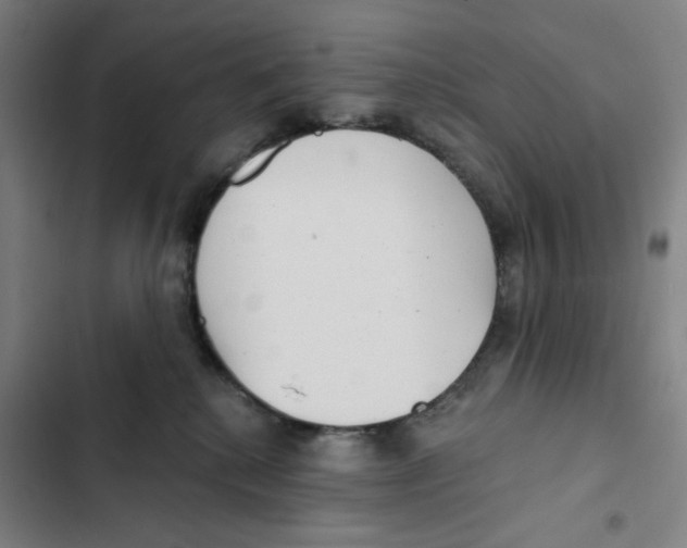 X0000102350280200808291208