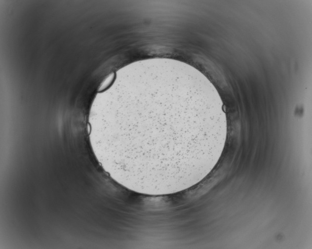 X0000102350281200808291208