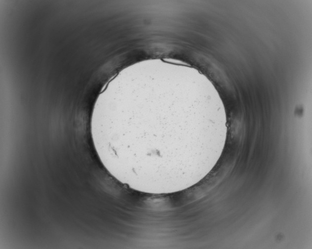 X0000102350283200808291208