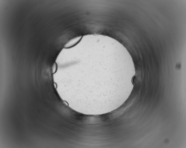 X0000102350286200808291208