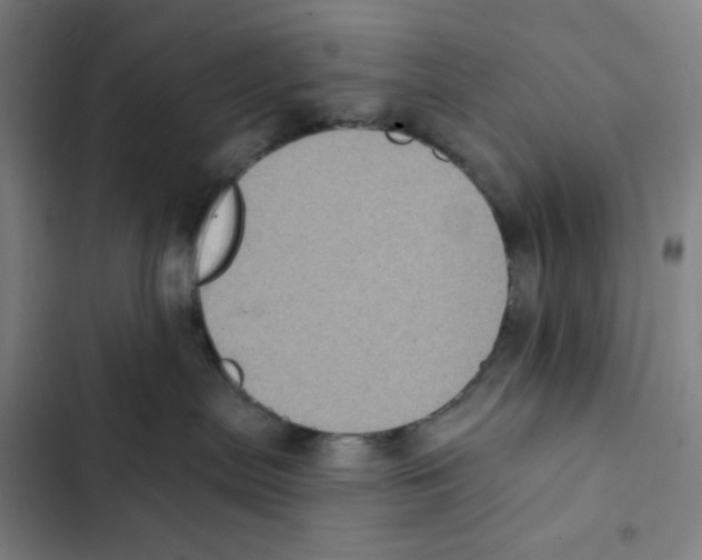 X0000102350287200808291208